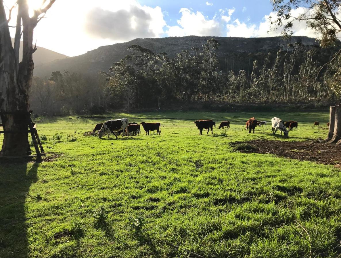 Kleine Vrede Farm Cottage Hermanus Exterior photo