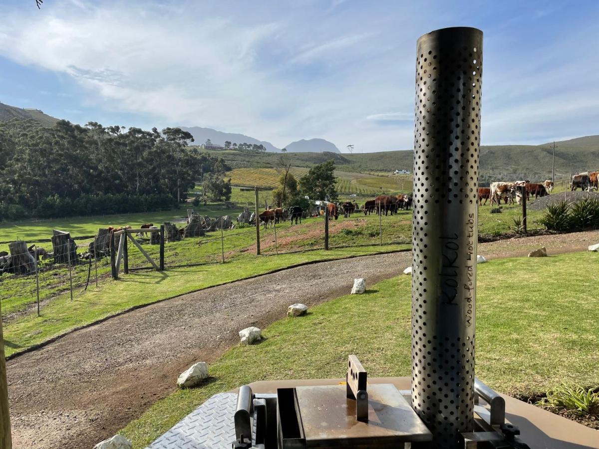 Kleine Vrede Farm Cottage Hermanus Exterior photo